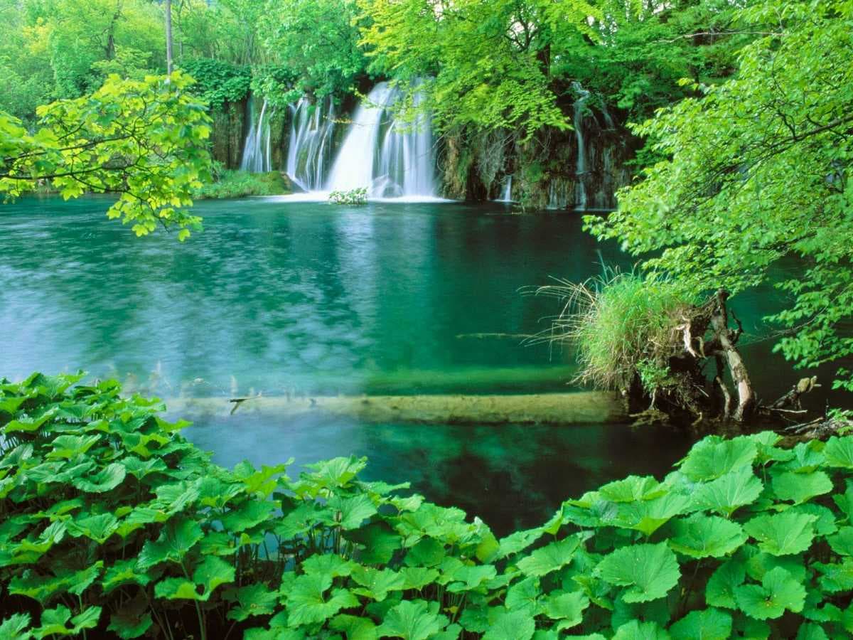 نمایشگاه ایران من